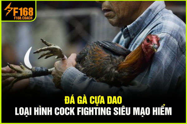 Đá Gà Cựa Dao - Loại Hình Cock Fighting Siêu Mạo Hiểm
