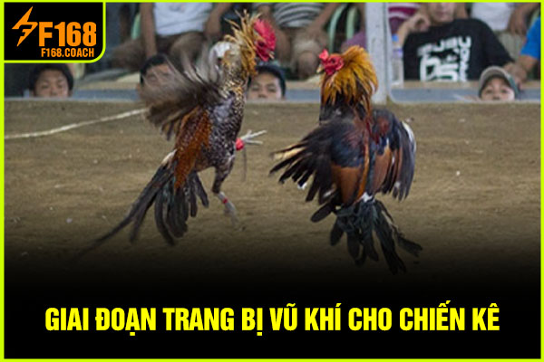 Giai đoạn trang bị vũ khí cho chiến kê
