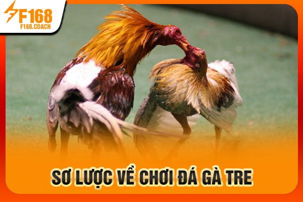 Sơ lược về chơi đá gà tre 